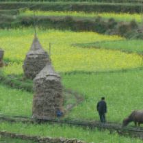 Guizhou province, March 2015